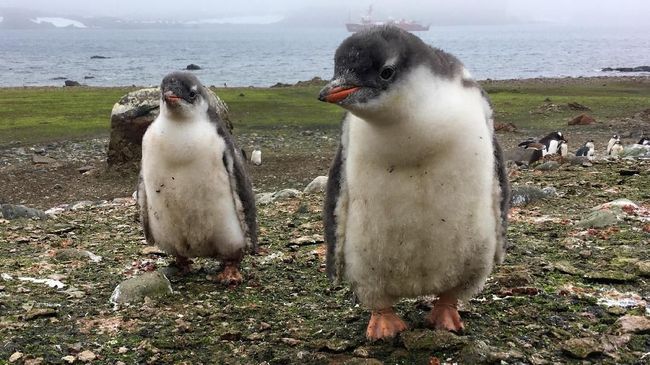 Clubnet Digital Clubnet Branding Identity Marketing