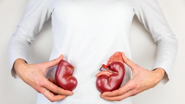 Clubnet Digital Clubnet Branding Identity Marketing